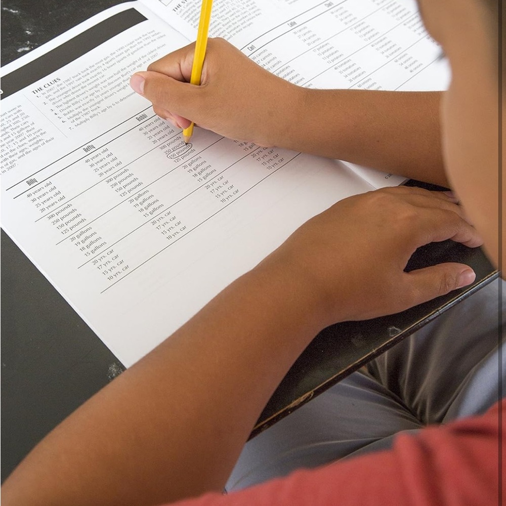 ✨NEW✨ MindWare Math Perplexors Puzzle Book, Level D - Picture 5 of 10